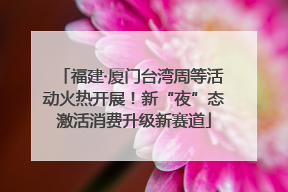 福建·厦门台湾周等活动火热开展！新“夜”态激活消费升级新赛道