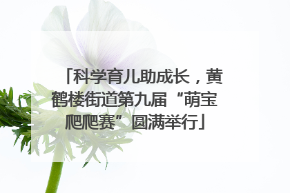 科学育儿助成长，黄鹤楼街道第九届“萌宝爬爬赛”圆满举行