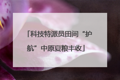 科技特派员田间“护航”中原夏粮丰收