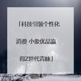科技引领个性化消费 小象优品赢得Z世代青睐