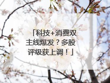 科技+消费双主线爆发？多股评级获上调！