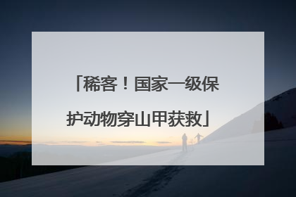 稀客！国家一级保护动物穿山甲获救