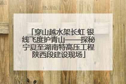 穿山越水架长虹 银线飞度护青山——探秘宁夏至湖南特高压工程陕西段建设现场