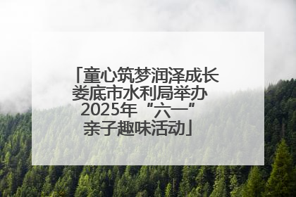 童心筑梦润泽成长 娄底市水利局举办2025年“六一”亲子趣味活动