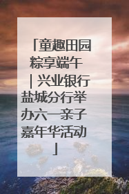 童趣田园 粽享端午｜兴业银行盐城分行举办六一亲子嘉年华活动
