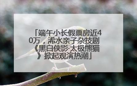 端午小长假票房近40万，浠水亲子杂技剧《黑白侠影·太极熊猫》掀起观演热潮