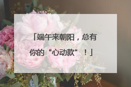 端午来朝阳，总有你的“心动款”！