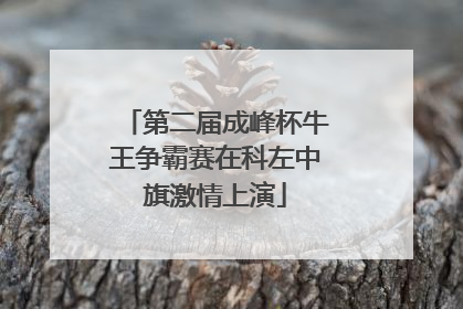 第二届成峰杯牛王争霸赛在科左中旗激情上演