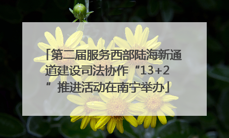 第二届服务西部陆海新通道建设司法协作“13+2”推进活动在南宁举办