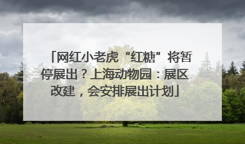 网红小老虎“红糖”将暂停展出？上海动物园：展区改建，会安排展出计划