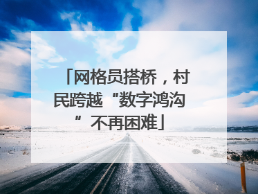 网格员搭桥，村民跨越“数字鸿沟”不再困难