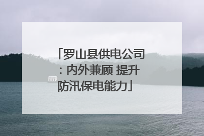 罗山县供电公司：内外兼顾 提升防汛保电能力