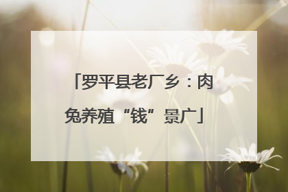 罗平县老厂乡：肉兔养殖“钱”景广
