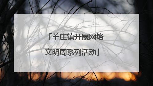 羊庄镇开展网络文明周系列活动