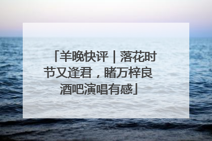 羊晚快评｜落花时节又逢君，睹万梓良酒吧演唱有感