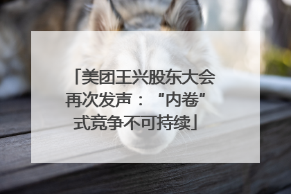 美团王兴股东大会再次发声：“内卷”式竞争不可持续