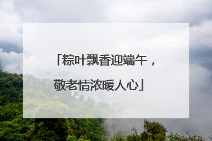 粽叶飘香迎端午，敬老情浓暖人心