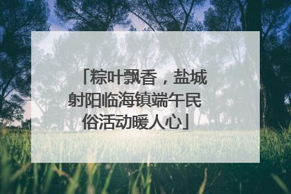 粽叶飘香，盐城射阳临海镇端午民俗活动暖人心