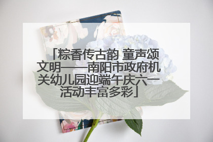 粽香传古韵 童声颂文明——南阳市政府机关幼儿园迎端午庆六一活动丰富多彩