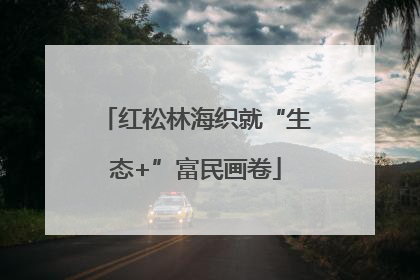 红松林海织就“生态+”富民画卷
