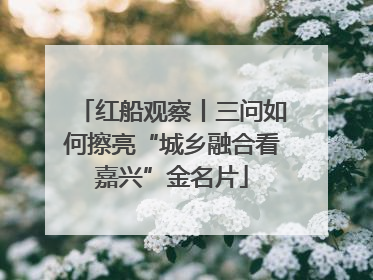 红船观察丨三问如何擦亮“城乡融合看嘉兴”金名片