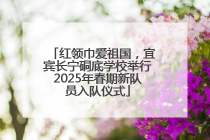 红领巾爱祖国，宜宾长宁硐底学校举行2025年春期新队员入队仪式