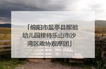 绵阳市盐亭县嫘祖幼儿园接待乐山市沙湾区政协观摩团
