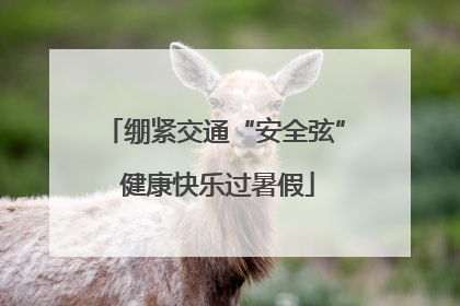 绷紧交通“安全弦” 健康快乐过暑假