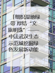 细织湿地绿带 厚结“文旅明珠”——中法武汉生态示范城挖掘绿色发展新动能