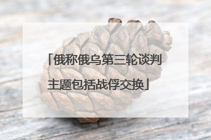 俄称俄乌第三轮谈判主题包括战俘交换