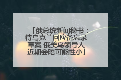 俄总统新闻秘书：待乌克兰回应备忘录草案 俄美乌领导人近期会晤可能性小