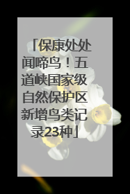 保康处处闻啼鸟！五道峡国家级自然保护区新增鸟类记录23种