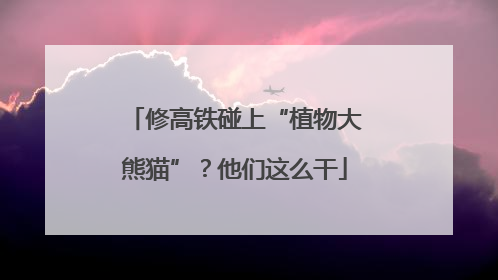 修高铁碰上“植物大熊猫”？他们这么干
