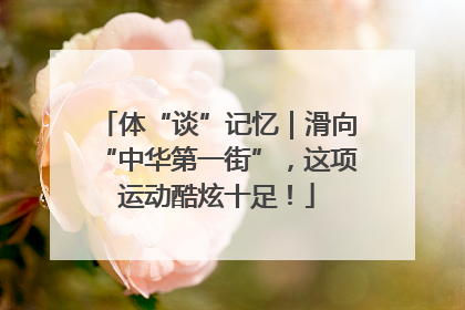 体“谈”记忆｜滑向“中华第一街”，这项运动酷炫十足！