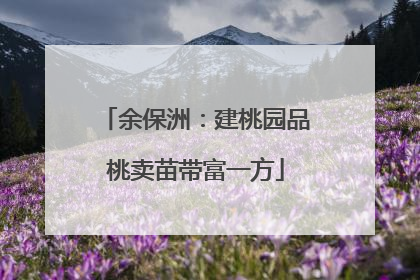 余保洲：建桃园品桃卖苗带富一方