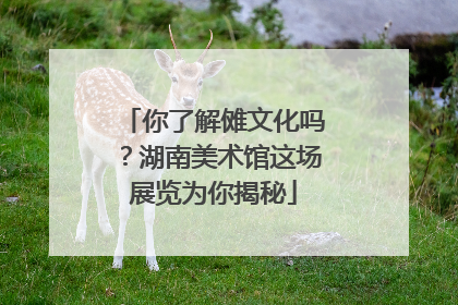 你了解傩文化吗？湖南美术馆这场展览为你揭秘