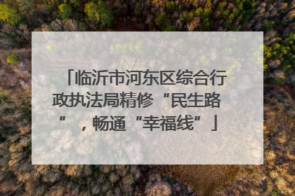 临沂市河东区综合行政执法局精修“民生路”，畅通“幸福线”