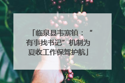 临泉县韦寨镇：“有事找书记”机制为夏收工作保驾护航