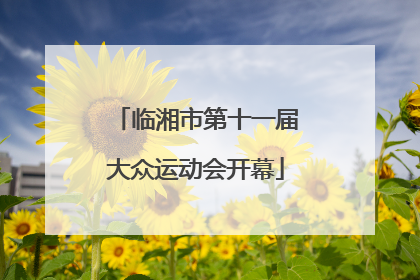 临湘市第十一届大众运动会开幕