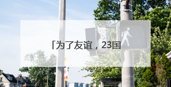为了友谊，23国友好组织齐聚南京