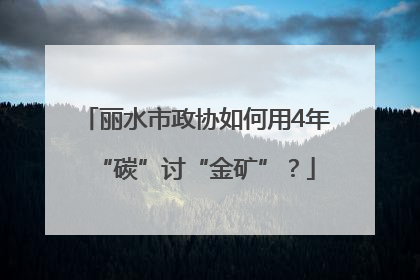 丽水市政协如何用4年“碳”讨“金矿”？