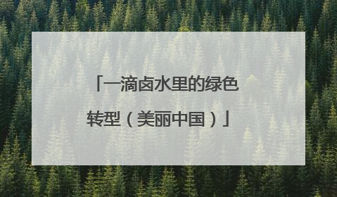 一滴卤水里的绿色转型（美丽中国）