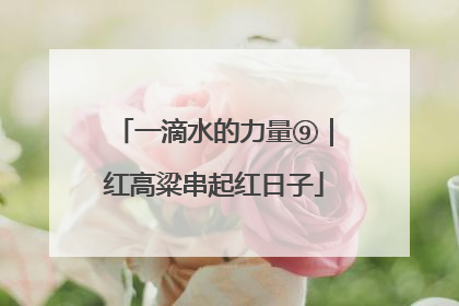 一滴水的力量⑨｜红高粱串起红日子