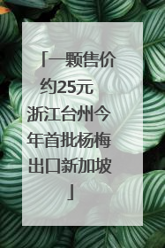 一颗售价约25元 浙江台州今年首批杨梅出口新加坡