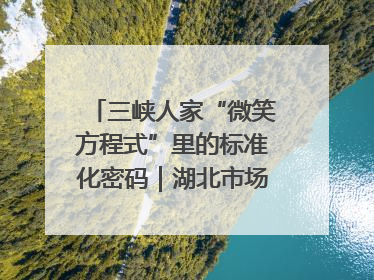 三峡人家“微笑方程式”里的标准化密码｜湖北市场监管所的故事