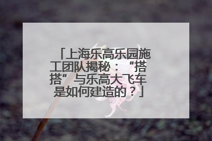 上海乐高乐园施工团队揭秘：“搭搭”与乐高大飞车是如何建造的？