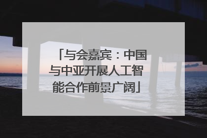 与会嘉宾：中国与中亚开展人工智能合作前景广阔