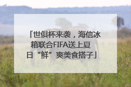 世俱杯来袭，海信冰箱联合FIFA送上夏日“鲜”爽美食搭子