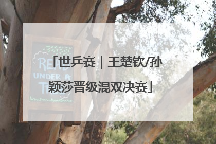 世乒赛｜王楚钦/孙颖莎晋级混双决赛