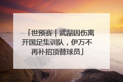 世预赛｜武磊因伤离开国足集训队，伊万不再补招顶替球员